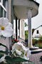City-Apartment 61100