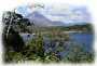 City-apartment: La Fortuna, Alajuela, Arenal Volcano Area, La Fortuna, Manuel Antonio